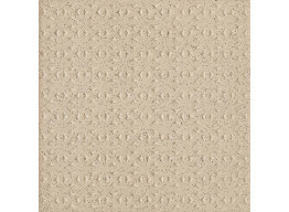 Bazo Beige STRUKTURA (19,8X19,8)