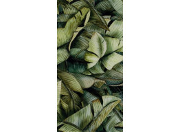 Uniwersalne Inserto Szklane Leaf A (30x60)
