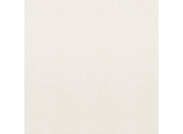 HALL IVORY GRES SZKL. MAT. (60X60)