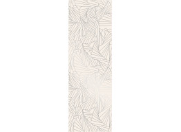 RAY SILVER INSERTO (25X75)