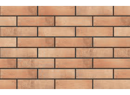 Loft brick CURRY (24,5x6,5)