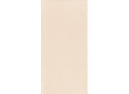 NEVE CREATIVE BEIGE POL 9,8X19,8
