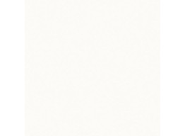 NEVE CREATIVE BIANCO POL (9,8x9,8)