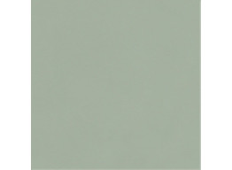 NEVE CREATIVE GREEN POL (9,8x9,8)