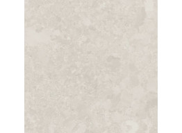 REST LIGHT GREY MATT (59,8X59,8)