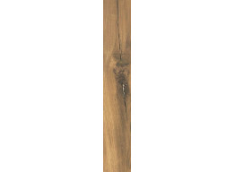 RUSTLAND BROWN REKT. MAT. (9,8X59,8)