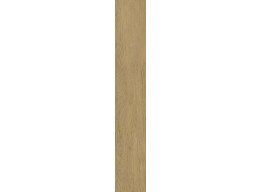 SPACEWOOD GOLD STRUKTURA MAT (19,8x119,8)