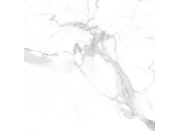 Alcora Grey F P 600x600x8 R Mat (60X60)