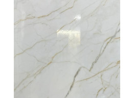Antico Gold F P 600x600x8 R Glossy 1 (60x60)