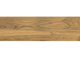 ASPENWOOD BROWN (18,5X59,8)