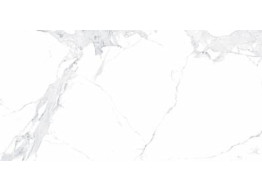 Avenzo Silver F P 600x1200x8 R Mat (60X120)
