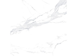 Avenzo Silver F P 600x600x8 R Full Lappato (60X60)