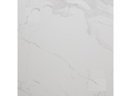 Avenzo Silver F P 600x600x8 R Mat (60X60)
