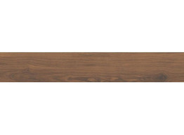 GPT1113 Baltonwood Brown (19,8X119,8)