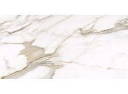 Calacatta Gold F P 600x1200x8 R Mat (60X120)