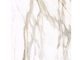 Calacatta Gold F P 600x600x8 R Mat (60X60)