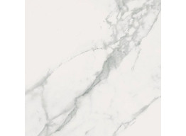 CALACATTA MARBLE WHITE (59,8X59,8)