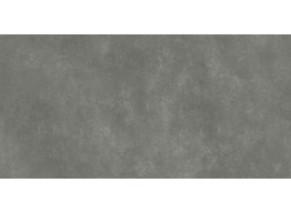 COLIN GPTU 1201 GREY (59,8X119,8)