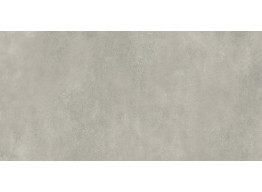 COLIN GPTU 1201 LIGHT GREY (59,8X119.8)
