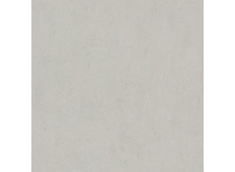 Concrete White F P R Mat (60х60)