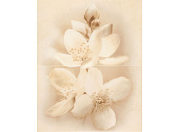 DIANA DECOR FLOWER (50X40)