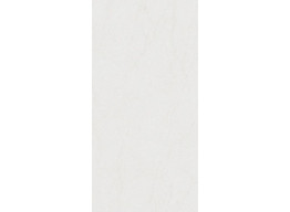 Duster сірий світлий 12060 04 071 (60x120)