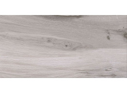 GILBERTON LIGHT GREY (29,8x59,8)