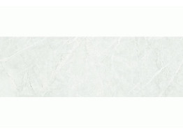 LILAS GREY GLOSSY (20X60)