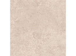 Limestone Beige F P 600x600x8 R Mat (60X60)
