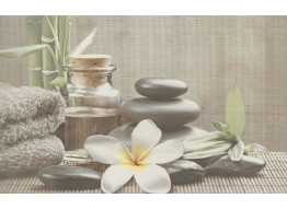 OLIVIA DECOR GREY SPA1 (25X40)