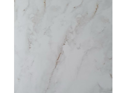 Palazzo White F P 600x600x8 R Mat (60X60)