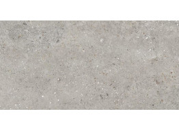 RIALTO GREY MATT (59,8X119,8)