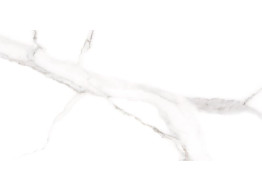 Sicilia White F P 600x1200x8 R Mat (60X120)