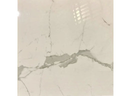 Sicilia White F P 600x600x8 R Mat (60X60)
