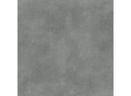 SILVER PEAK GPTU603 GREY MATT RECT (59,8X59,8)