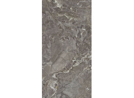 Snake stone Bronze F PC 600x1200x8 R Sugar (60X120)