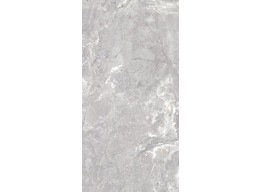 Snake stone Silver F PC 600x1200x8 R Sugar (60X120)