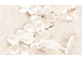 SOFI INSERTO FLOWER (25X40)
