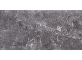 TENEZA GREY GLOSSY (29,7x60)