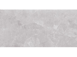TENEZA LIGHT GREY GLOSSY (29,7x60)