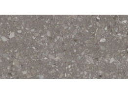 Terra Greige F PC 600x1200x8 R Sugar (60X120)
