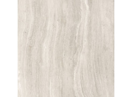 Travertine Silver F P 600x600x8 R Mat (60X60)