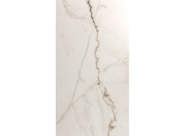 Polar RT (60X120)