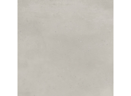 188233 94_EVO MICA PERLATA RET/MATT (60X60)
