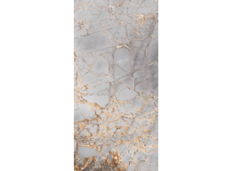 DENIA GOLD SILVER POLISHED (60X120)