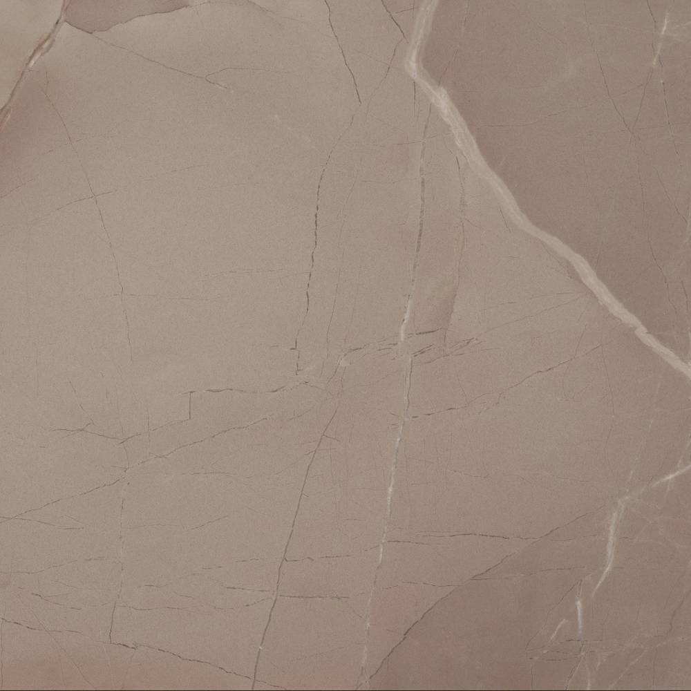 PASSION LUX TAUPE (60X60)