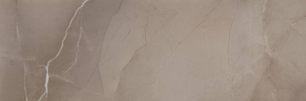 PASSION TAUPE (30X90)