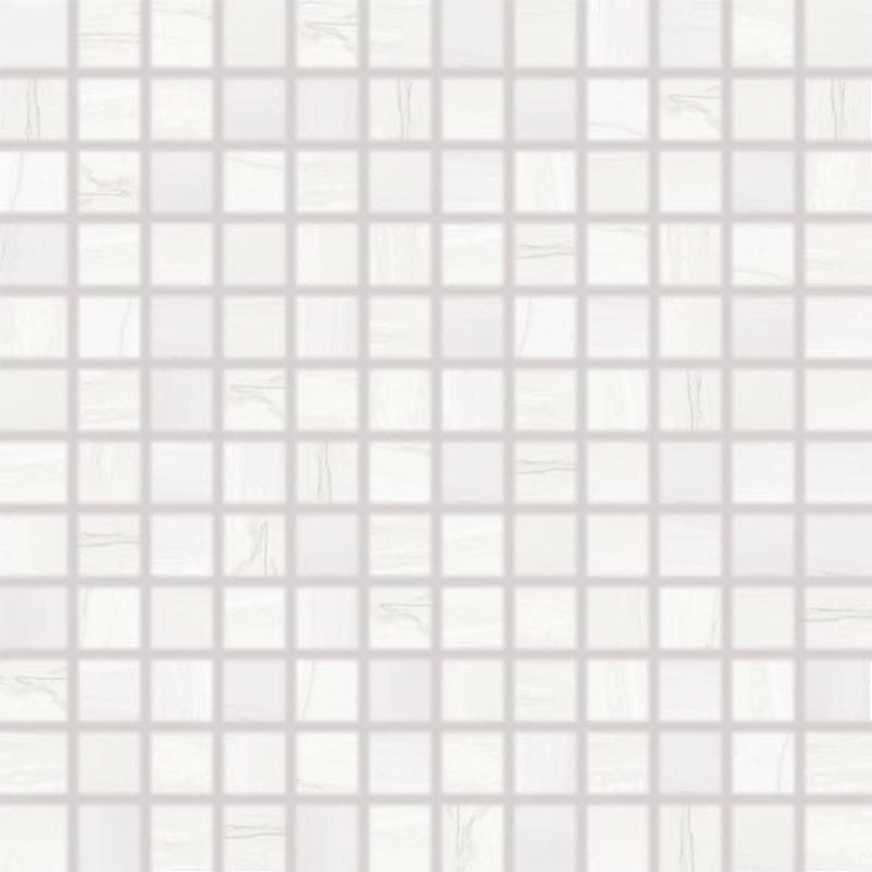 Mosaic BOA WDM02525 white (30X30)