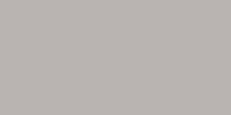 CONCEPT WAAMB110 grey (19,8x39,8)