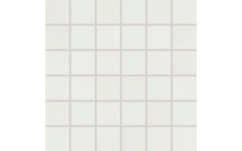 Mosaic TENDENCE WDM06051 light grey (30X30)